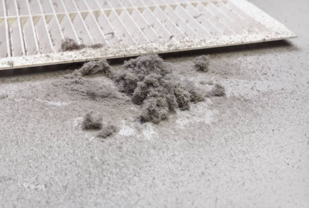 Best HVAC Air Duct Cleaning  in Rio Verde, AZ
