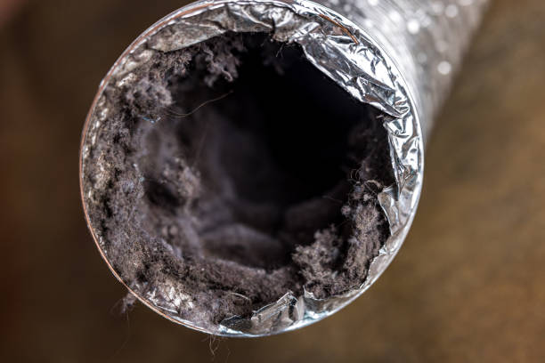 Best Duct Cleaning Specialists  in Rio Verde, AZ